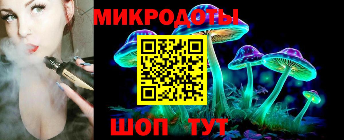 Галлюциногенные грибы Psilocybine cubensis Партизанск